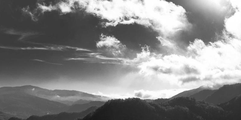 养殖技术革新：规模化家禽养殖场自动化设备选型与效益深度评估