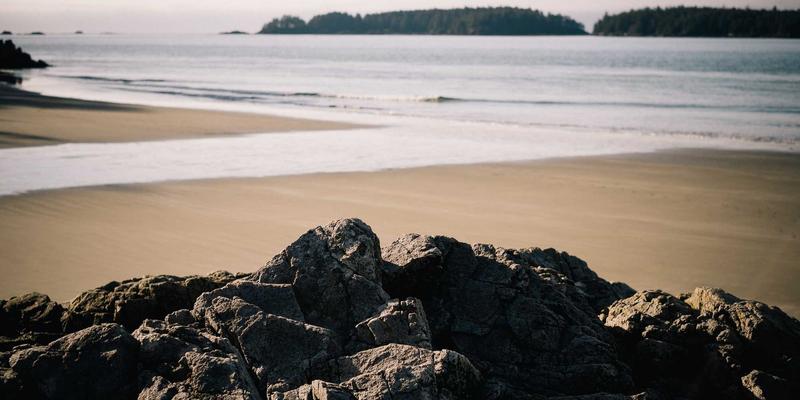 家禽交易与农产品交易的核心保障：养殖技术中的饲料原料质量控制与霉菌毒素风险管理实践