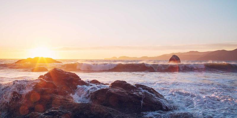 家禽交易市场指南：如何挑选高产健康种苗，实现农产品交易价值最大化