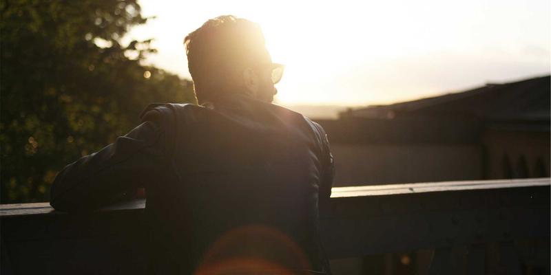 家禽养殖17:深度解析家禽行情波动、交易策略与市场趋势