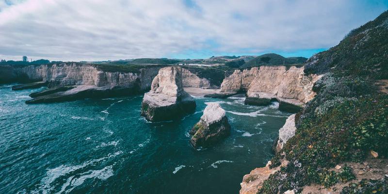 家禽养殖42:技术革新与市场交易双轮驱动下的产业升级之路