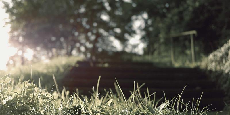 家禽养殖56:洞察现代家禽交易与农产品市场新格局