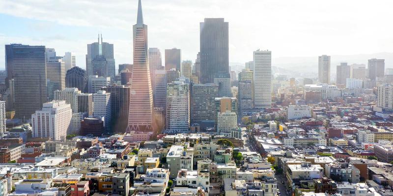 家禽养殖59：技术革新与市场洞察，打造高效养殖新生态