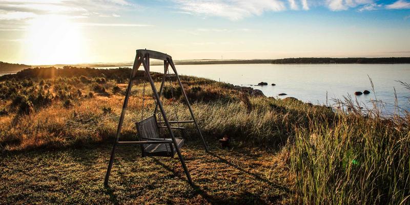 家禽养殖62：数字化时代下的家禽交易市场新生态与家禽网平台价值