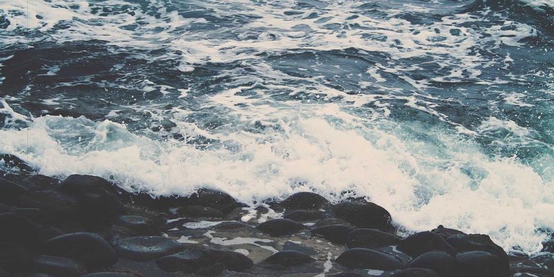 家禽养殖63：洞察行情波动，把握市场机遇，实现稳健养殖