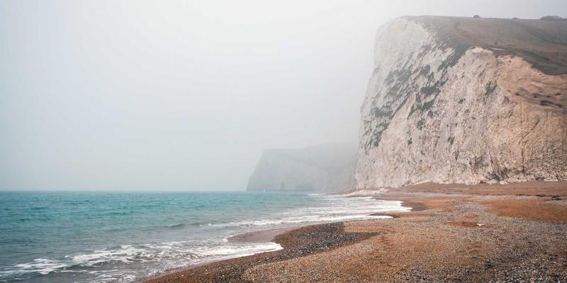 家禽养殖79：数字化时代下的农产品交易新生态与家禽网平台价值