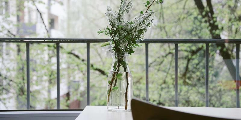 家禽养殖80：数字化时代下的市场变革与养殖新机遇