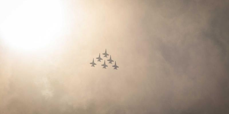 家禽养殖87：深度解析家禽行情波动与市场趋势，把握行业脉搏