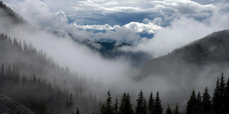 家禽养殖光照管理方案：科学调控产蛋率与生长性能的关键技术