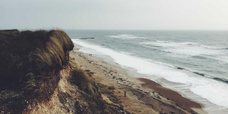 家禽养殖入门指南：把握市场趋势与技术核心，开启高效养殖之路