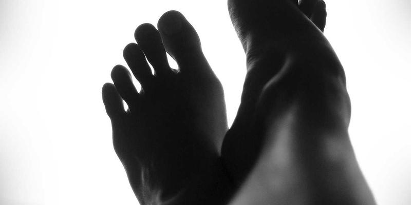 家禽养殖关键技术：肉鸡后期育肥如何通过营养调控提升胴体品质与风味