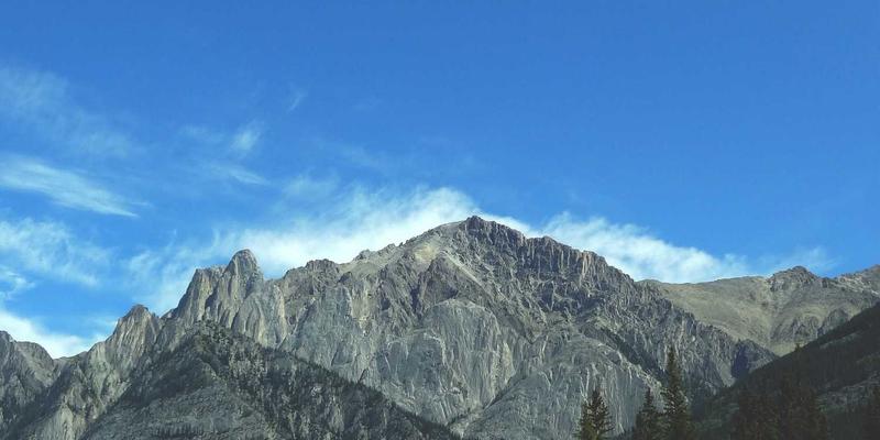 家禽养殖场建设规划与布局设计要点：提升养殖技术与市场竞争力