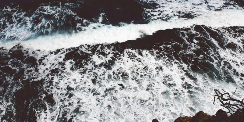 家禽养殖场生物安全体系建设全攻略：从隔离消毒到疫病净化，守护养殖效益