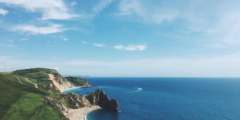 家禽养殖成本精细化管理：如何通过数据化分析降低饲料成本与优化料肉比