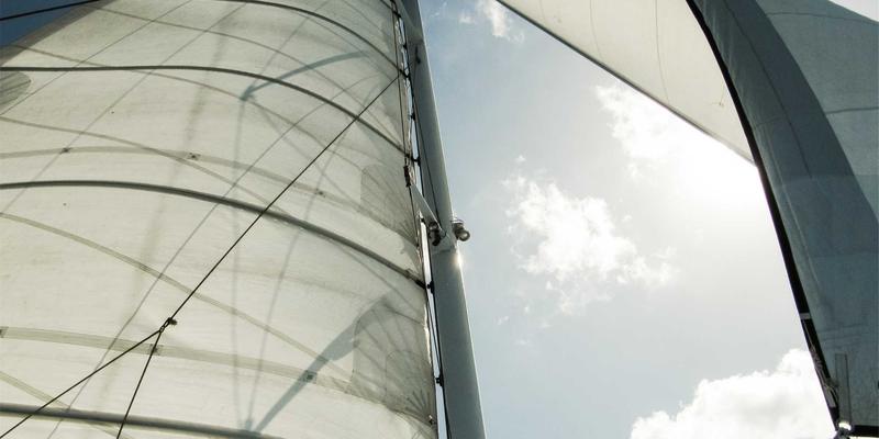 家禽养殖技术升级：纵向通风与隧道通风的季节性应用策略对比