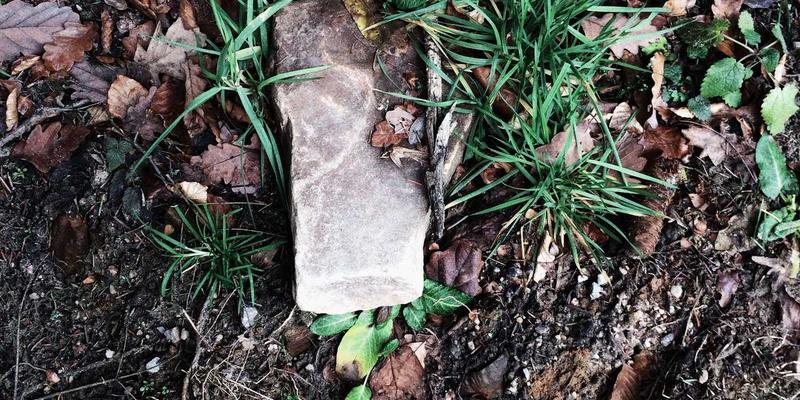 家禽养殖技术新突破：精准环境控制系统如何协同调控氨气、粉尘与温湿度的奥秘