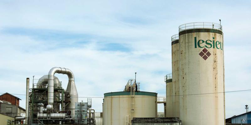 家禽养殖最佳实践:把握市场行情,升级养殖技术,实现高效盈利