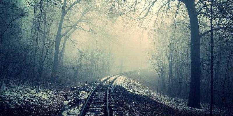 家禽养殖案例分析:技术升级与市场洞察如何实现养殖效益倍增