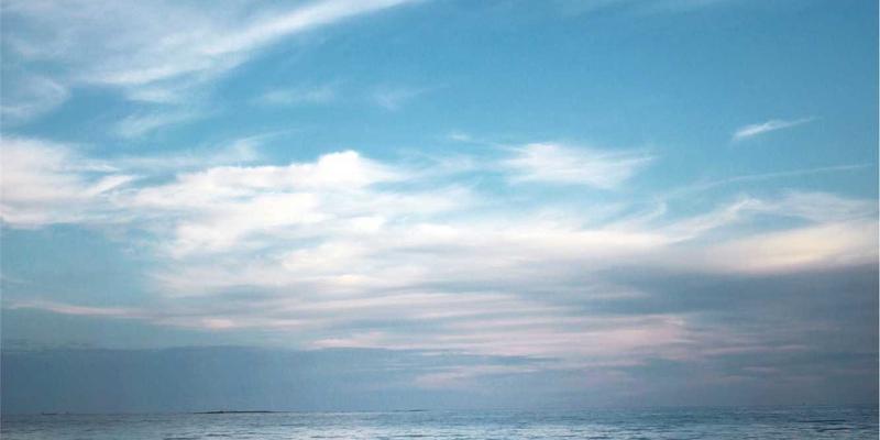 家禽养殖设备选型与维护指南：自动化喂料、清粪系统投资回报深度分析