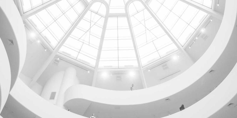 家禽养殖进阶指南：把握家禽交易脉搏，善用家禽网开拓家禽市场