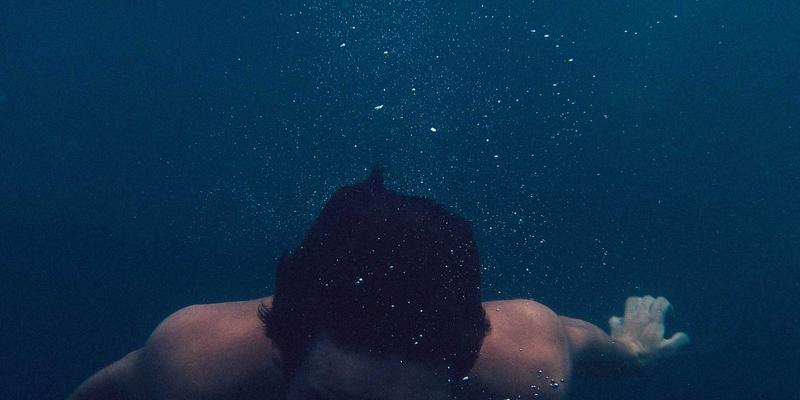 家禽市场稳健发展的基石：构建标准化养殖场人员培训体系与生物安全防线