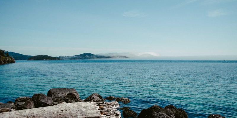 家禽应激综合征的识别与系统性缓解方案：从运输、转群到环境突变的管理