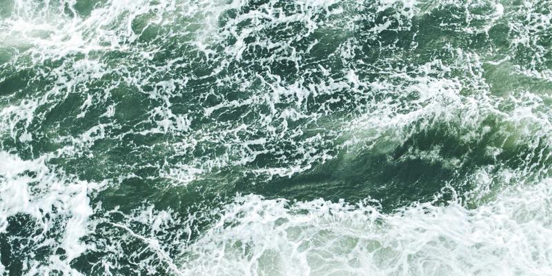 家禽无抗养殖技术体系构建：从饲料禁抗到替抗方案选择与效果评估 | 农产品交易与家禽网的专业指南