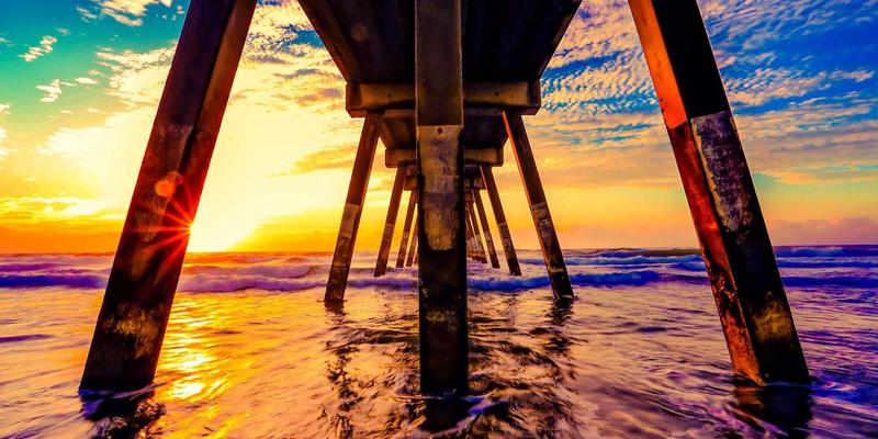 家禽行情新机遇：植物精油、酸化剂与中草药的复合无抗养殖方案