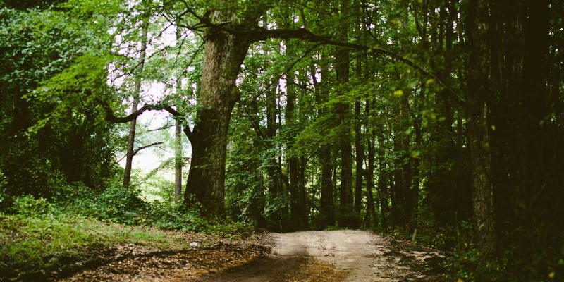 构建坚不可摧的防线：家禽养殖场生物安全体系的关键环节与执行标准