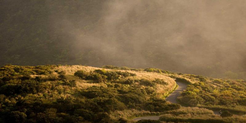 现代化家禽孵化场管理要点：从种蛋选择到雏禽处理的全程技术解析