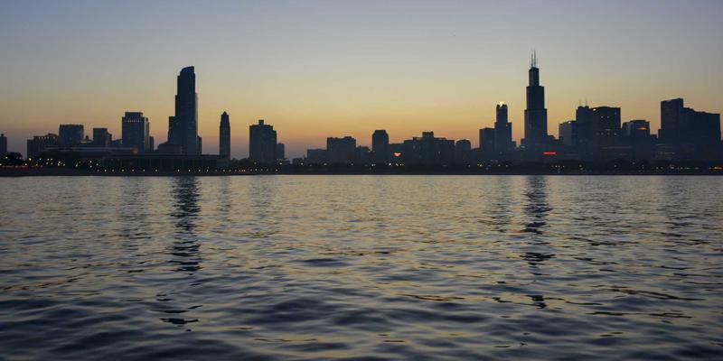 蛋鸡强制换羽的操作规程与经济性分析：把握时机与管控风险，提升家禽养殖效益